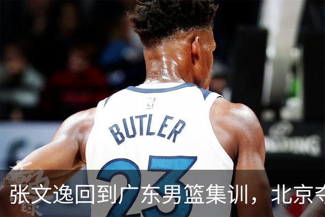张文逸回到广东男篮集训，北京夺冠功勋确定退役，上海欲续约弗格